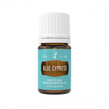 Blue cypress