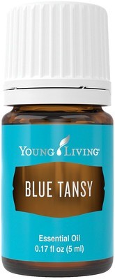 Blue tansy