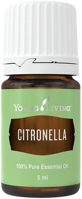 Citronella
