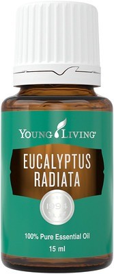 Eucalyptus radiata