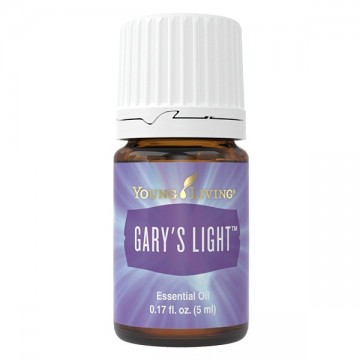 Garys light